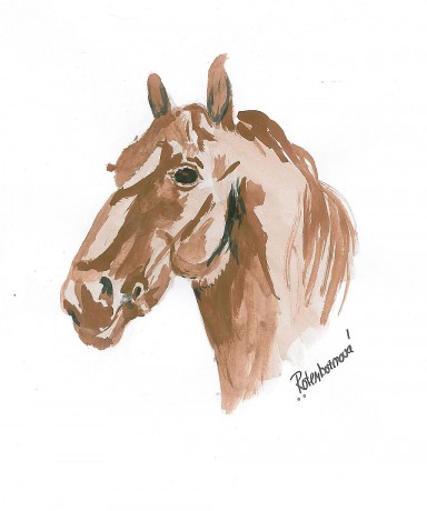 kůň_akvarel